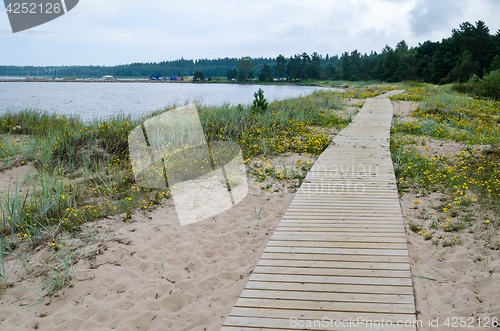 Image of Wooden path along the sandy shore of the Baltic Sea