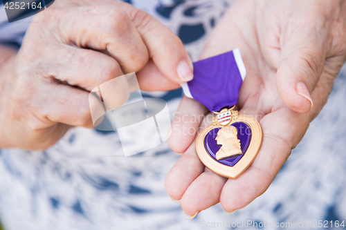 Image of Senior Woman Holding The Military Purple Heart Medal In Her Hand