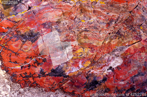 Image of Petrified-Forest-National-Park, Arizona, USA