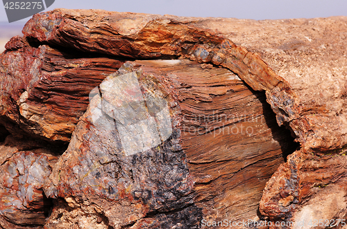 Image of Petrified-Forest-National-Park, Arizona, USA