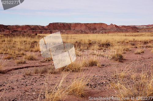 Image of Petrified-Forest-National-Park, Arizona, USA