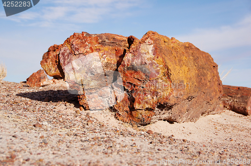 Image of Petrified-Forest-National-Park, Arizona, USA