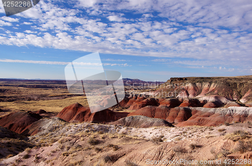 Image of Petrified-Forest-National-Park, Arizona, USA