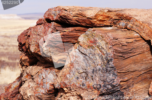 Image of Petrified-Forest-National-Park, Arizona, USA