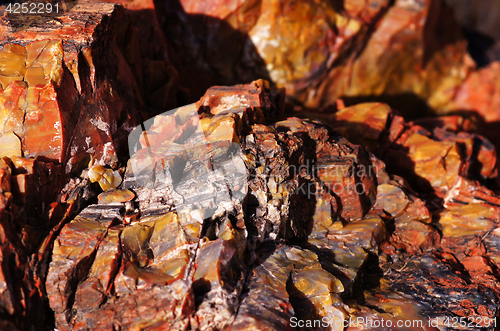 Image of Petrified-Forest-National-Park, Arizona, USA