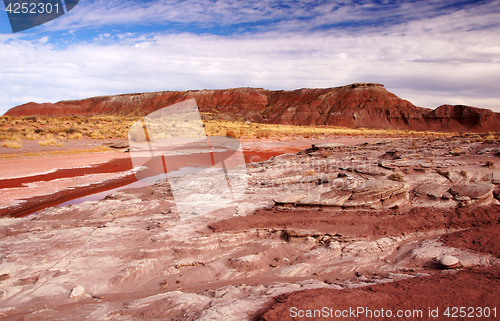 Image of Petrified-Forest-National-Park, Arizona, USA