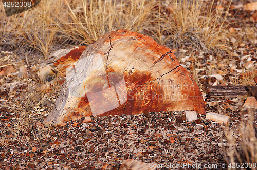 Image of Petrified-Forest-National-Park, Arizona, USA