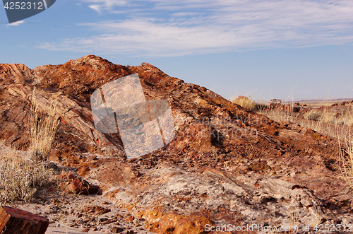 Image of Petrified-Forest-National-Park, Arizona, USA