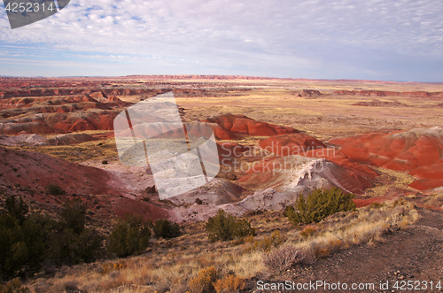 Image of Petrified-Forest-National-Park, Arizona, USA