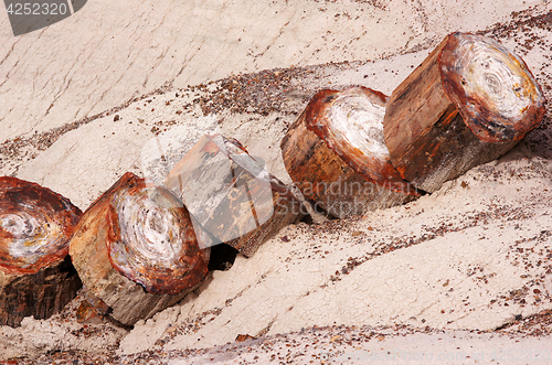 Image of Petrified-Forest-National-Park, Arizona, USA