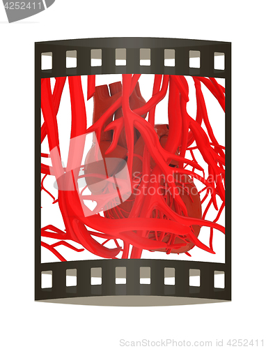 Image of Human heart and veins. 3D illustration.. The film strip