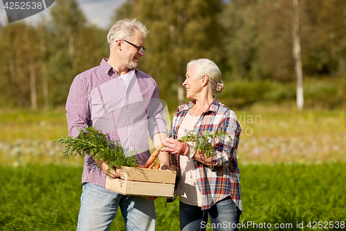 Image of senior couple with box of carrots on farm