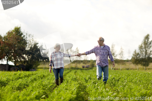 Image of happy senior couple holding hands at summer farm