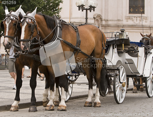 Image of Horses and carriage in Prague