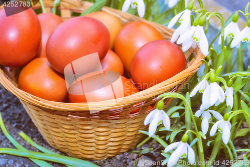 Image of Easter eggs in a wicker basket and snowdrops.