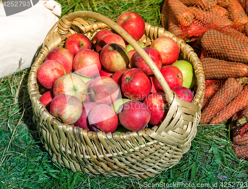 Image of The apples in the basket are sold at the fair.