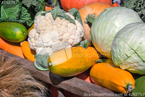 Image of Vegetable harvest is sold at the fair.