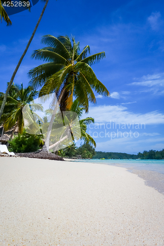 Image of Paradise tropical beach and lagoon in Moorea Island