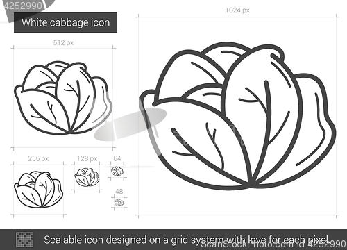 Image of White cabbage line icon.