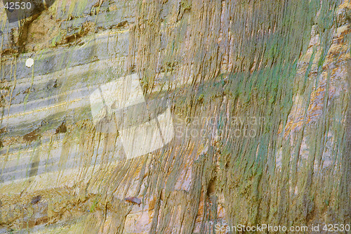 Image of Wet rock and green algae texture from Perino river, Valtrebbia, Italy