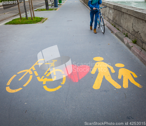 Image of Bicycle signs painted on asphalt