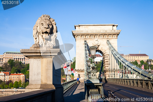 Image of BUDAPEST, HUNGARY - 2017 MAY 19th: lion statue at the beginning 