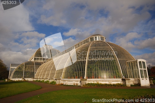 Image of The Tropical House