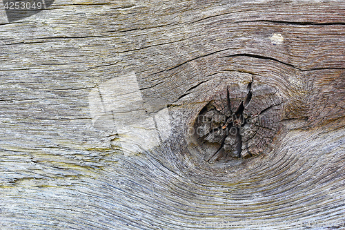 Image of detail of knot on oak plank