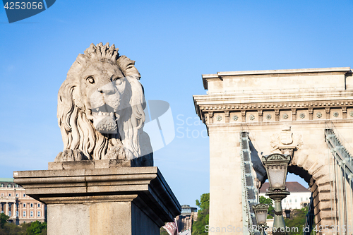 Image of BUDAPEST, HUNGARY - 2017 MAY 19th: lion statue at the beginning 
