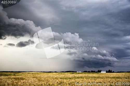 Image of Storm Clouds Saskatchewan