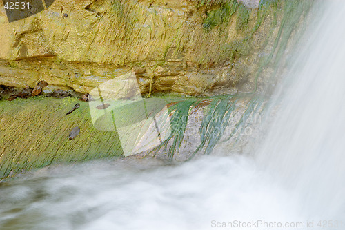 Image of Wet rock, green algae and waterfall of Perino river, Valtrebbia, Italy