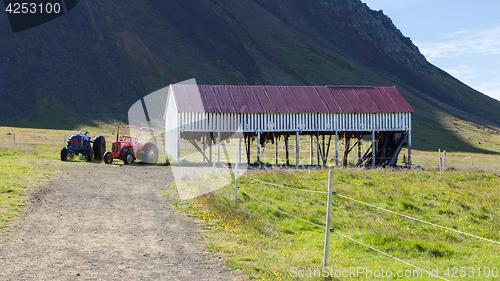 Image of Specialty of iceland called hakarl