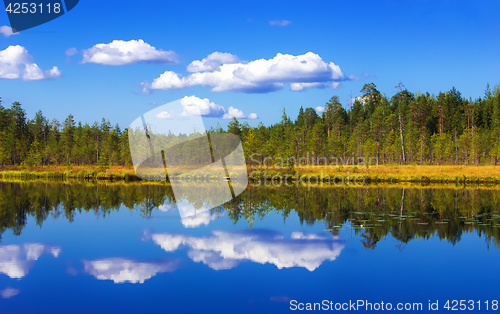 Image of Forest And Sky Reflection