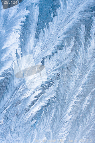 Image of frost pattern on window glass