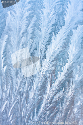 Image of Ice patterns on the glass