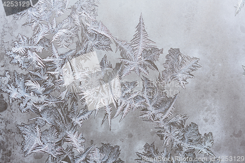 Image of Ice patterns on winter glass