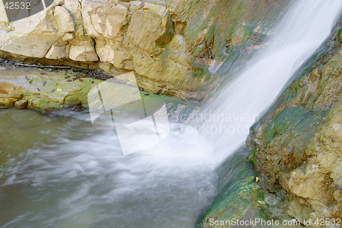 Image of Wet rock, green algae and waterfall of Perino river, Valtrebbia, Italy