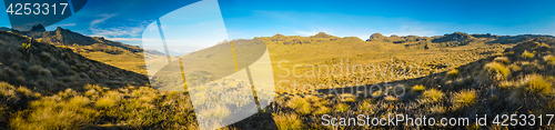 Image of Lonely wilderness in Papua