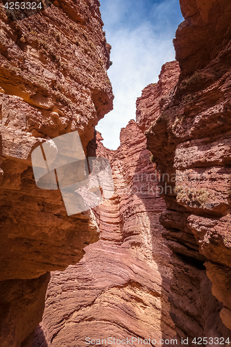 Image of Amphitheatro in Quebrada de las Conchas, Salta, Argentina