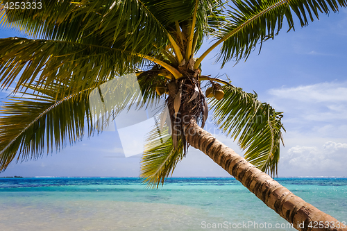 Image of Paradise tropical beach and lagoon in Moorea Island