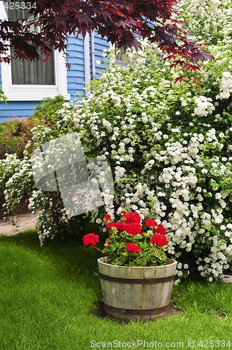 Image of Front yard of a house