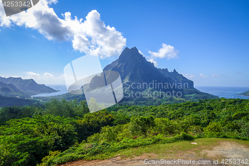 Image of Aerial view of Opunohu, Cook’s Bay and lagoon in Moorea Island