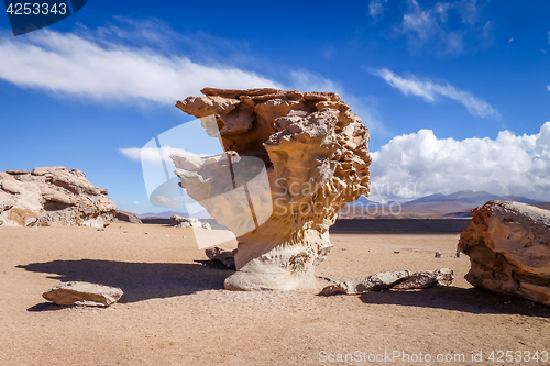 Image of Arbol de Piedra in Siloli desert, sud Lipez reserva, Bolivia