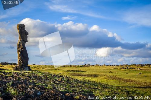 Image of Moai statue, ahu akapu, easter island