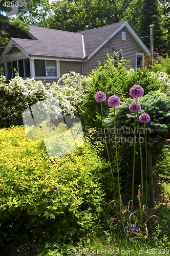 Image of Front yard of a house