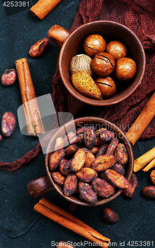 Image of cocoa beans