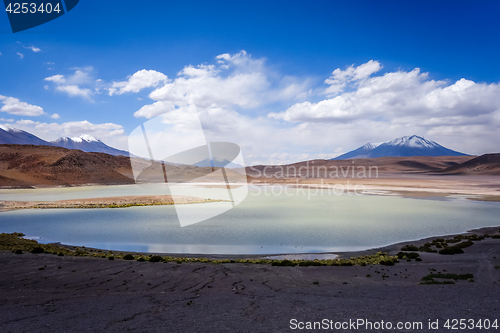 Image of Laguna Honda in sud Lipez Altiplano reserva, Bolivia