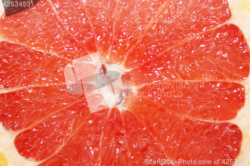 Image of grapefruit red cut by pieces