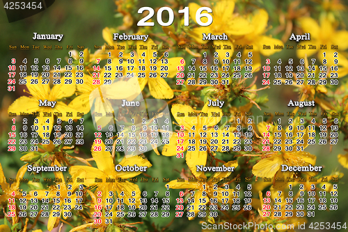 Image of calendar for 2016 with yellow flowers of St.-John's wort