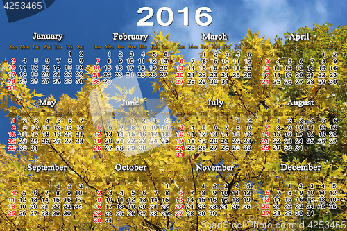 Image of calendar for 2016 on the yellow maple leaves